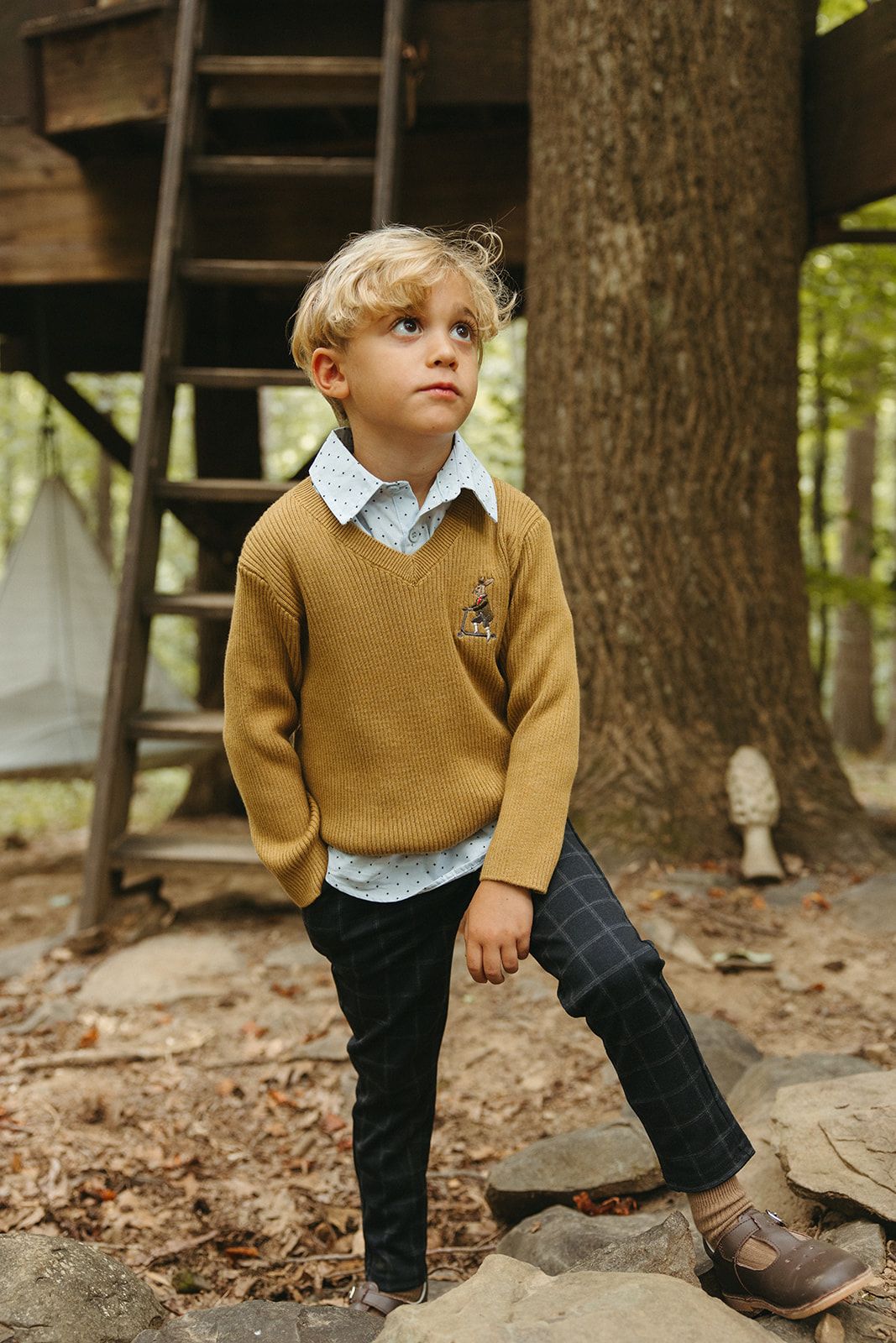 Arza Mustard V Neck Sweater