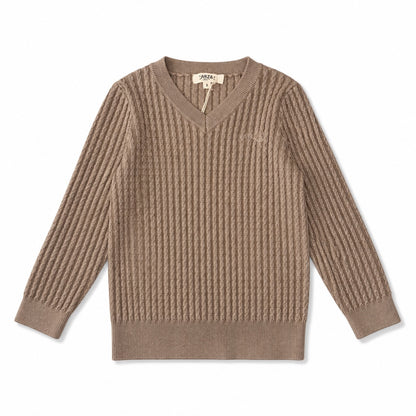 Arza Taupe Cable V Neck Sweater