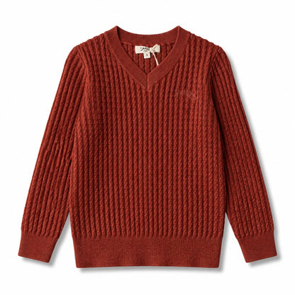 Arza Rust Cable V Neck Sweater